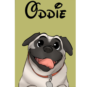 Pet Portrait