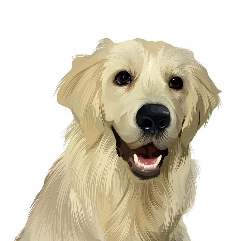 Pet Portrait