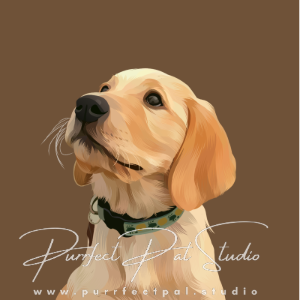 Pet Portrait
